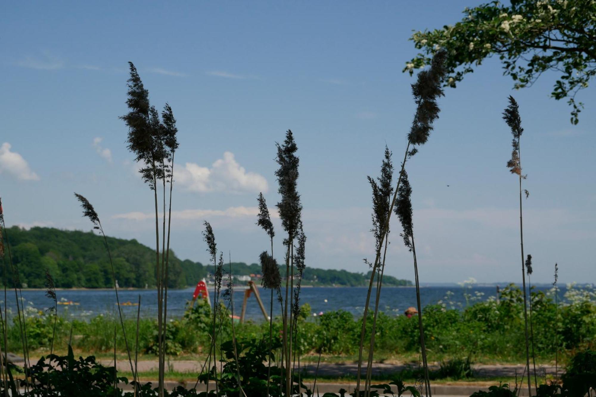 Ostsee, Wunderschoene Wohnung Mit Meerblick Harrislee Exterior photo